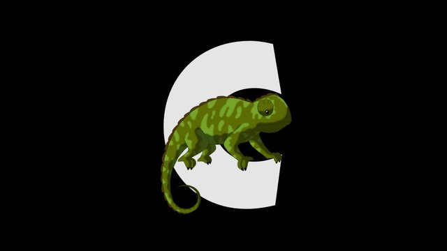 Letter C and Chameleon (foreground)
Animated animal alphabet. HD footage with alpha channel. Animal in a foreground of letter.
