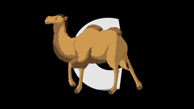 Letter C and Camel (foreground)
Animated animal alphabet. HD footage with alpha channel. Animal in a foreground of letter.