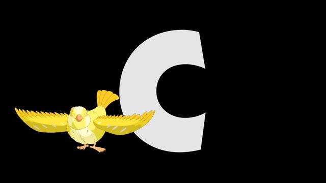 Letter C and Canary (foreground)
Animated animal alphabet. HD footage with alpha channel. Animal in a foreground of letter.