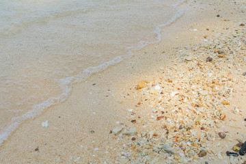 Sea sand texture made of shell and stone pieces.