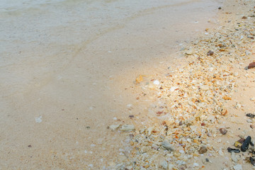 Sea sand texture made of shell and stone pieces.