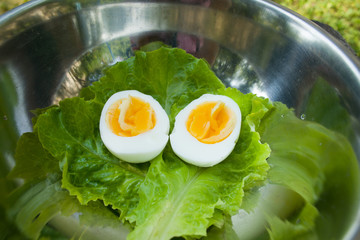 Здоровое питание завтрак яйцо и салат