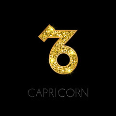 Zodiac sign Capricorn