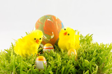 Osterküken und Ostereier im Moos