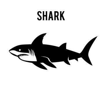 Great white shark sign logo on a white background.