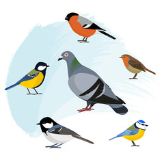 Set of birds, isolated vector illustration