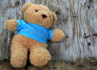 toy bear with old wood background