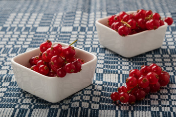 red currant in white bowl