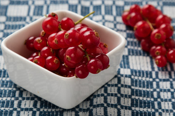 red currant in white bowl