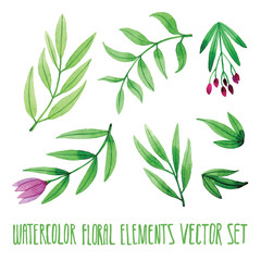 Vector floral set. Colorful floral collection with leaves, drawing watercolor. Spring or summer design for invitation, wedding or greeting cards. Set of floral elements for your compositions.