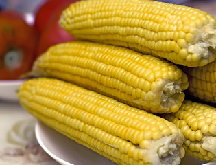 boiled corn on a plate at the dinner table