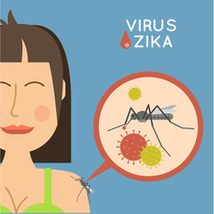 Virus zika vector illustration. Mosquito infected with zika viru