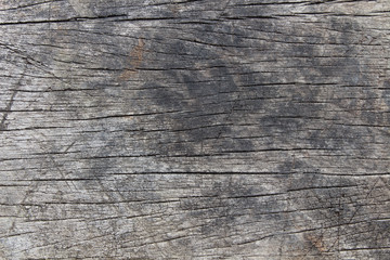 Obraz premium the surface of wood crack because moisture