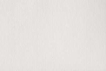 Canvas texture coated by white primer.