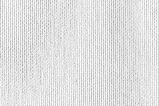 White canvas background or texture.