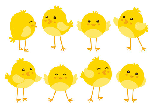 Chick Cartoon Images – Browse 77,458 Stock Photos, Vectors, and Video |  Adobe Stock