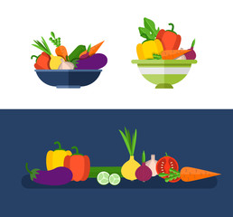 Salad ingredients vector set. Salad ingredients vector illustrat