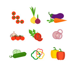 Salad ingredients vector set. Salad ingredients vector illustrat