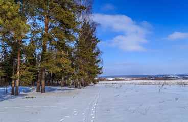 Поле и лес зимним днем