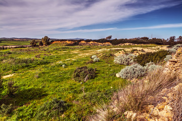 green field at sunset in Sardinia