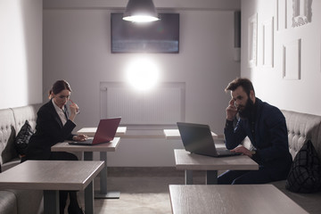 businessman and businesswoman work with laptops; business teamwork