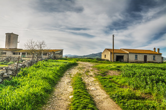 road to the farmhouse