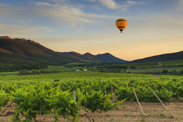 Naklejka premium Flying hot air balloon over the mountains and vineyards. 