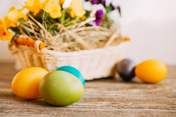 Easter composition with easter eggs and flowers 