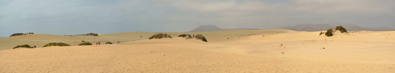 Fototapeta na wymiar Panorama of the famous dunes at Corralejo Fuerteventura