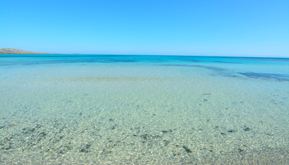 Fototapeta na wymiar crystal clear water in La Pelosa beach