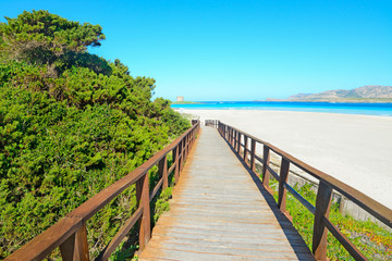 Fototapeta na wymiar wooden walk path to the beach
