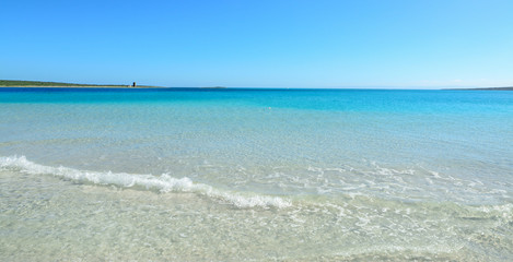 small wave in La Pelosa beach