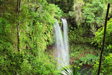 At Antakarana falls, Amber Mountains park, Madagascar