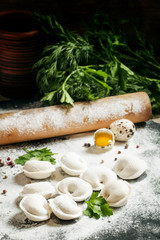 Traditional Russian meat dumplings, cooking illustration, select