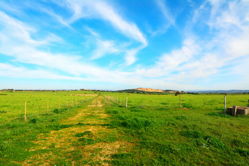 blue sky and green field