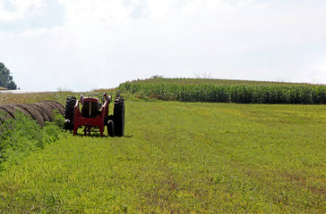 Obraz premium Farm Tractor in field