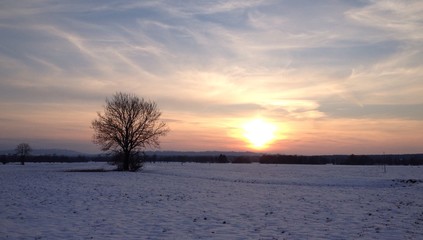 Abendhimmel im Winter