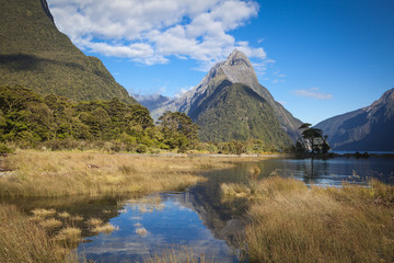 Mitre Peak im Milford Sound Neuseeland