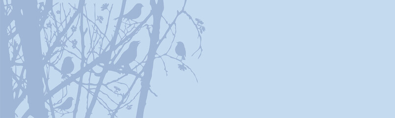 Frühjahr Vögel Blüten