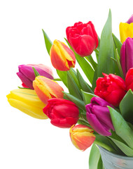 bouquet of  yellow, purple and red  tulips
