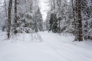 A group of tourists in a ski trip.