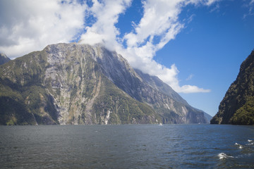 Fototapeta na wymiar Auf dem Milford Sound Neuseeland