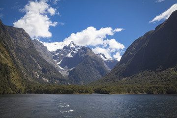 Auf dem Milford Sound Neuseeland