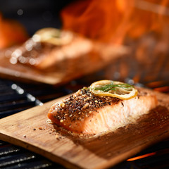 salmon fillets cooking on cedar planks on grill
