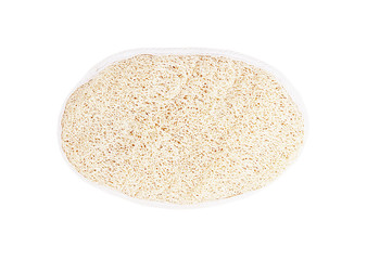 luffa sponge natural fiber for body scrubbing on white backgroun