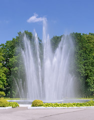 Fountain on background of trees
