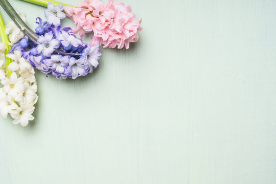Pink,white and blue hyacinths flowers bunch on  on light shabby chic background, top view, place for text.