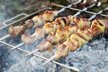 shish kebab on skewers