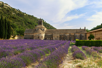 Fototapeta na wymiar Abbey of Senanque with lavender field