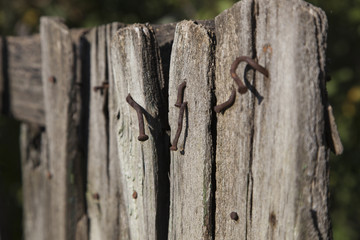 Part of the old worn-out wooden fence with rusty nails sticking